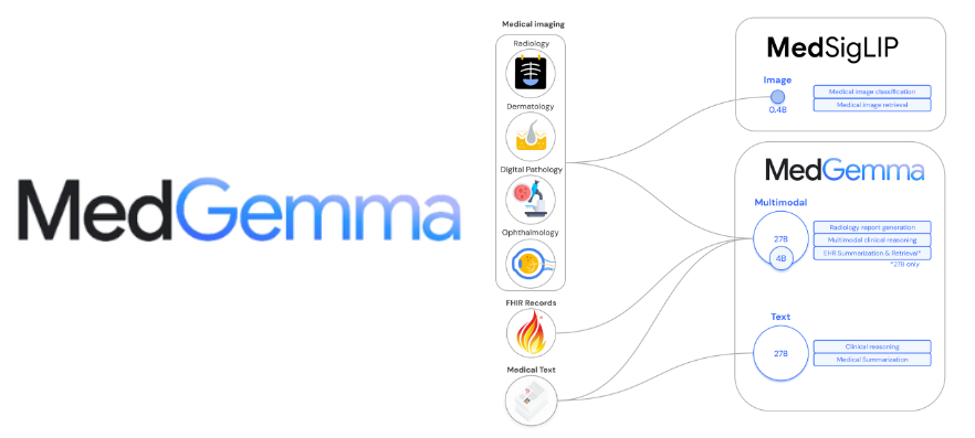 Diagrama MedGemma